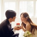 도트맨션
