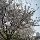 삼은공원A 화장실(게이트볼장 옆) | 천안 직산 삼은공원 어린이 물놀이터 조성 진행 중 달빛 건강 운동 위치 완공 예정 주차