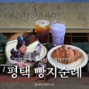 [평택 카페] 올데이즈베이커리 솔직 후기 | 빵지순례 추천 샌드위치, 케이크 맛집 (내돈내산)