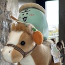 에코랜드수영장 수영장 이미지