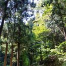 축령산휴양림입구 이미지