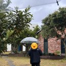 더애월민박 이미지