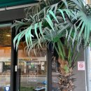 CU파주운정점 이미지