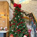 피자알볼로 기장일광점 | 기장 일광 브런치카페 드메르 크리스마스 대형 트리 있음