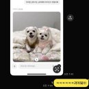 수원-0310 | 겨울이 지나고 봄이 오듯이