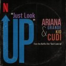 Look Up 이미지