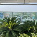 버즈약국 이미지