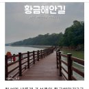 2026년9월6일 첫째주 일요일 화성 황금해안길3구간 (궁평관광길)트레킹 갑니다 이미지