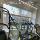 비타민휘트니스북