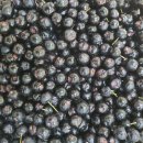 소망건강원 이미지