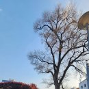 왜, 지하로 지하로 파들어가야 했나/ 국립아시아문화전당 유감 이미지