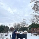 구지파출소 | 포근한 분위기를 느낄 수 있는 용인시 대형카페, 아스테리카 바이 더체어 방문 후기(주차장 및 음료정보)