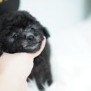 미스터앤 미세스멍 원주점 이미지