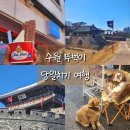 지동목장 | [수원 당일치기 여행] 시장 구경도 하고 행궁동도 가고 알찼던 뚜벅이의 하루