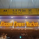 블레스드플라워마켓 - 강남구 학동로 180 | 판교역 지하꽃집 가성비꽃집 블레스드플라워마켓 내돈내산후기