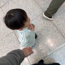 신양파크호텔 (예원) | 21개월 아기와 함께한 상하이 가족여행 1일차 (예원·와이탄·현지 맛집까지)
