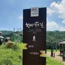 42도의 폭염 속에 경북 칠곡군 ‘한티가는 길 3코스’ 2023년 8월 5일