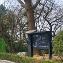 비둘기공원 화장실 | [인천 아이와 가볼만한곳] 수봉공원 스카이워크 후기