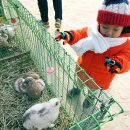 승재농장 이미지