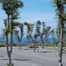 파도와노을캠핑장 이미지