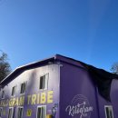 킬로그램트라이브 이미지