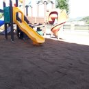 단촌초등학교 병설유치원 이미지