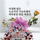 희망직업소개소 - 안양시 동안구 | 희망직업소개소