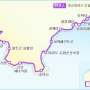 황개천 옆 Daum카페