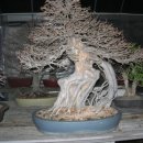 유원농장 이미지