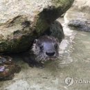 전라남도야생동물구조관리센터 이미지