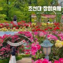 CU 조대중앙점 | 조대 장미축제 광주 데이트 코스 주차 포토존 꿀tip