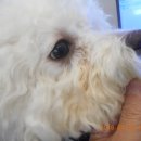 가나동물병원 이미지