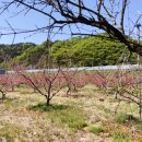 햇살찬농장 이미지