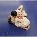 튼튼합기도 이미지