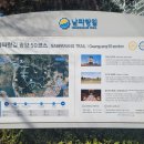 [선별편] 2024년2월28일 수요일 남파랑길 50코스를 다녀와서! 이미지