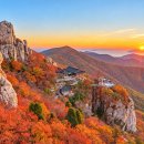 "CNN이 인정한 '단풍, 바다, 기암괴석' 절경답네"... 우리나라 3대 기도처로 꼽히는 천년 사찰 이미지