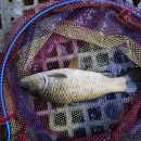 장전낚시터 이미지