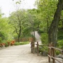 중명생태공원 이미지