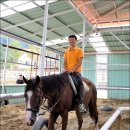 홀스킹덤 팜스테이 이미지