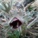 영월 동강오토캠핑장 이미지