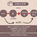 건강미체
