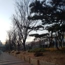 청개구리당구장 이미지