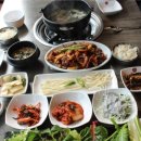 생생오징어 이미지