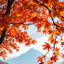 설악산오색마을 | 2025 전국 단풍 시기 &amp; 단풍 명소 총정리 (설악산, 내장산부터 숨은 단풍길까지)