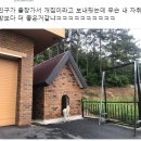 개집이 내 방보다 좋음 이미지