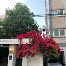 갤러리 스튜디오 현상소 이미지