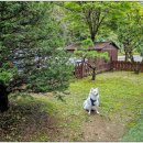 남이섬설리조트2 이미지