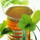 허브 식물과 향기의 이용 이미지