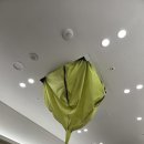 이안테크 이미지