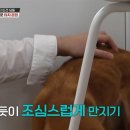 미용농장 이미지